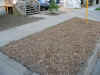 Front yard re-landscaping.jpg (350980 bytes)